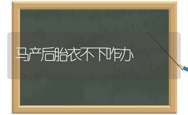 马产后胎衣不下咋办 | 养殖知识