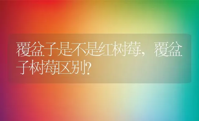 覆盆子是不是红树莓,覆盆子树莓区别？ | 养殖科普