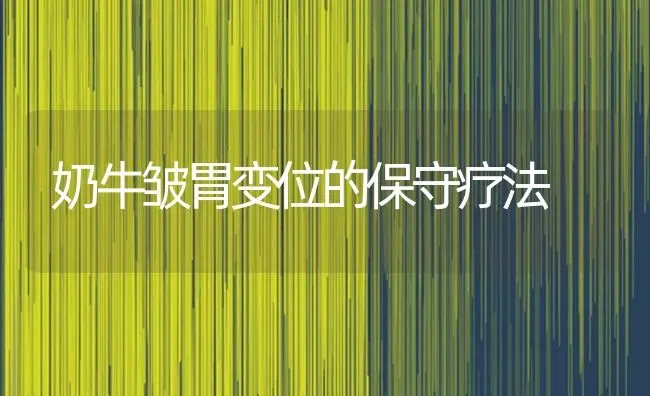 奶牛皱胃变位的保守疗法 | 养殖技术大全