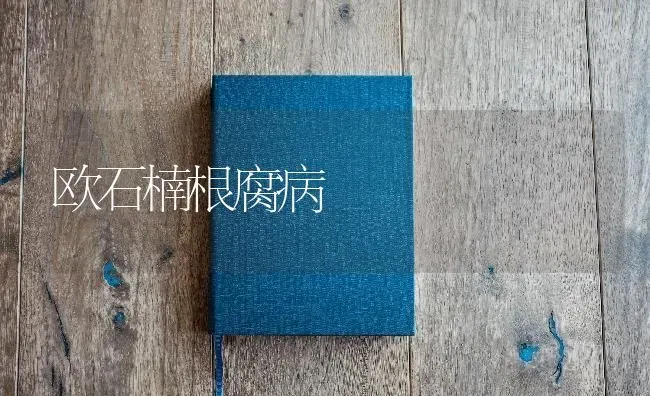 欧石楠根腐病 | 养殖技术大全