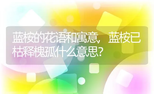 蓝桉的花语和寓意,蓝桉已枯释槐孤什么意思？ | 养殖科普