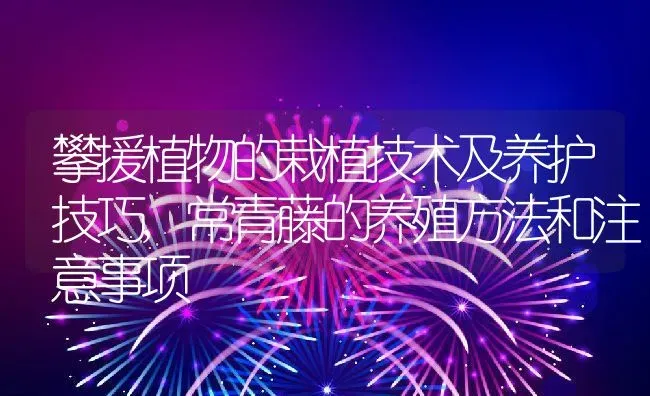 攀援植物的栽植技术及养护技巧,常青藤的养殖方法和注意事项 | 养殖学堂