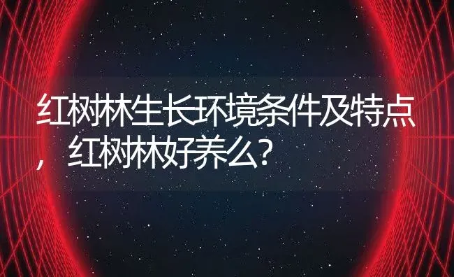 红树林生长环境条件及特点,红树林好养么？ | 养殖科普