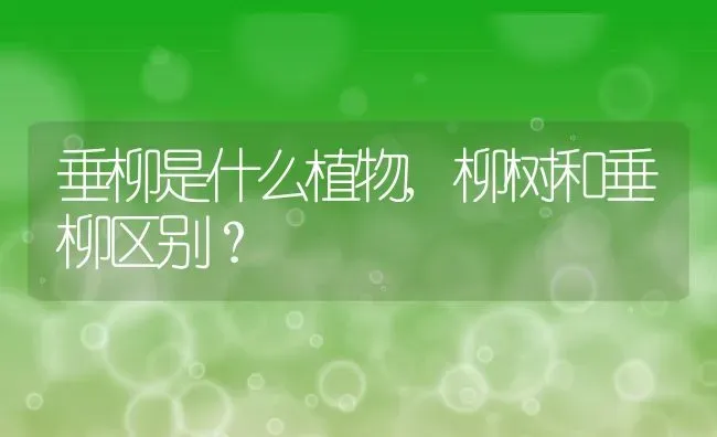 垂柳是什么植物,柳树和垂柳区别？ | 养殖科普