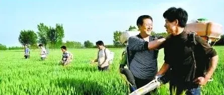 未来十年，农村最赚钱的几个行业! | 农广天地
