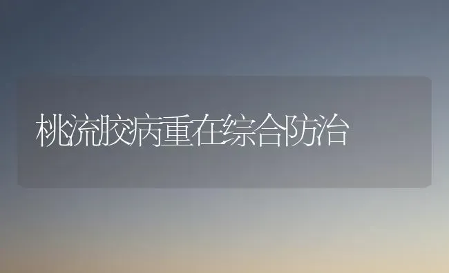 桃流胶病重在综合防治 | 养殖知识