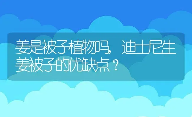 姜是被子植物吗,迪士尼生姜被子的优缺点？ | 养殖科普