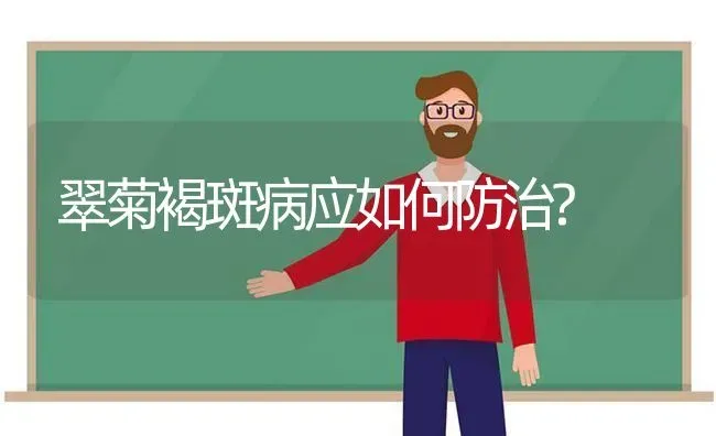 翠菊褐斑病应如何防治? | 养殖知识