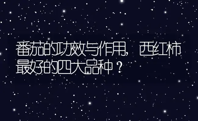 番茄的功效与作用,西红柿最好的四大品种？ | 养殖科普