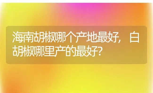 海南胡椒哪个产地最好,白胡椒哪里产的最好？ | 养殖科普