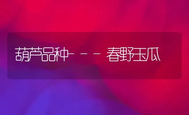 葫芦品种---春野玉瓜 | 养殖知识