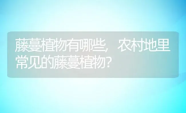 藤蔓植物有哪些,农村地里常见的藤蔓植物？ | 养殖科普