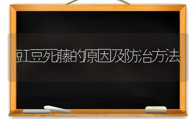 豇豆死藤的原因及防治方法 | 养殖知识