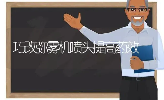 巧改弥雾机喷头提高药效 | 养殖知识