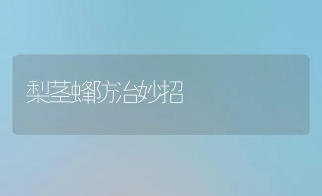 梨茎蜂防治妙招 | 养殖知识