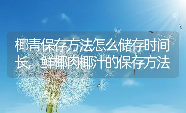 椰青保存方法怎么储存时间长,鲜椰肉椰汁的保存方法 | 养殖学堂