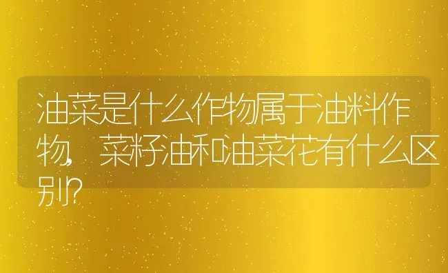 油菜是什么作物属于油料作物,菜籽油和油菜花有什么区别？ | 养殖科普