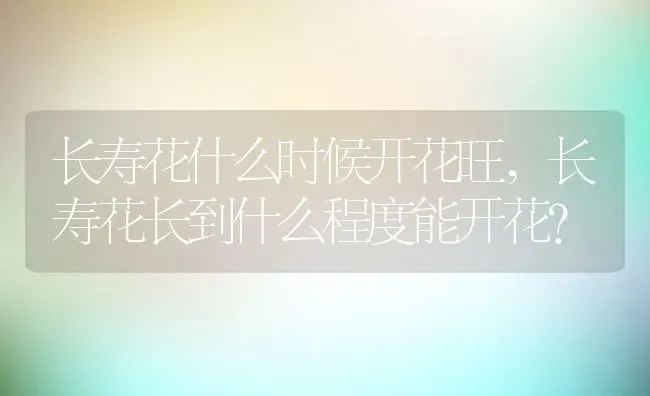 长寿花什么时候开花旺,长寿花长到什么程度能开花？ | 养殖科普