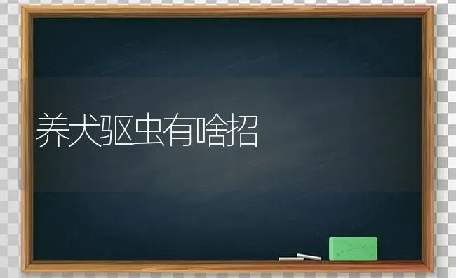 养犬驱虫有啥招 | 养殖技术大全