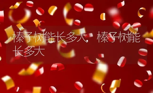 榛子树能长多大,榛子树能长多大 | 养殖学堂