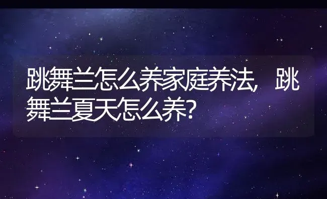 跳舞兰怎么养家庭养法,跳舞兰夏天怎么养？ | 养殖科普