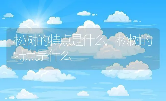 松树的特点是什么,松树的特点是什么 | 养殖科普