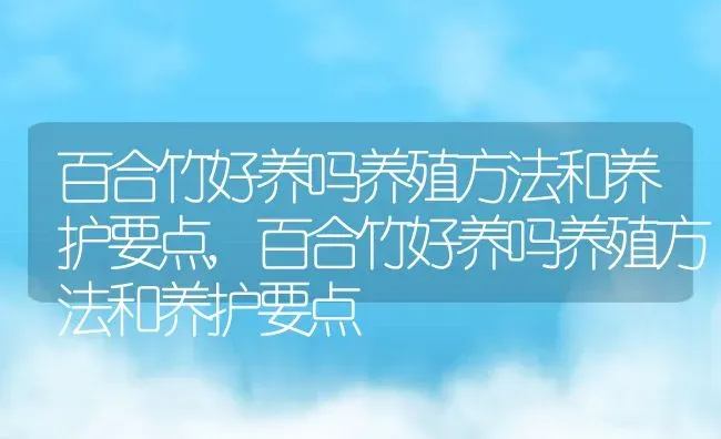 百合竹好养吗养殖方法和养护要点,百合竹好养吗养殖方法和养护要点 | 养殖科普
