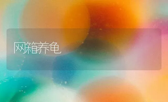 网箱养龟 | 养殖技术大全