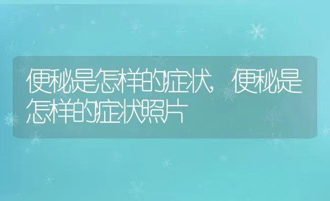 便秘是怎样的症状,便秘是怎样的症状照片 | 养殖资料