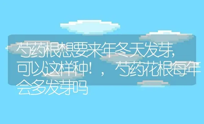芍药根想要来年冬天发芽,可以这样种!,芍药花根每年会多发芽吗 | 养殖学堂