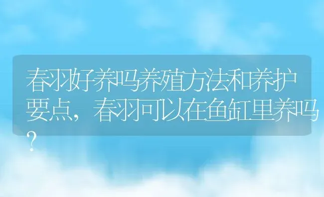 春羽好养吗养殖方法和养护要点,春羽可以在鱼缸里养吗？ | 养殖科普