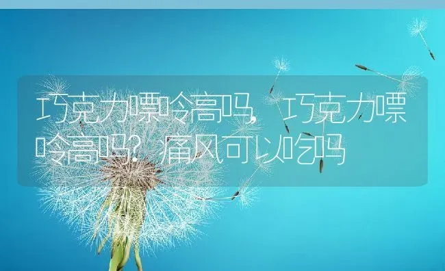 巧克力嘌呤高吗,巧克力嘌呤高吗?痛风可以吃吗 | 养殖科普