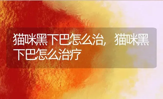 猫咪黑下巴怎么治,猫咪黑下巴怎么治疗 | 养殖科普