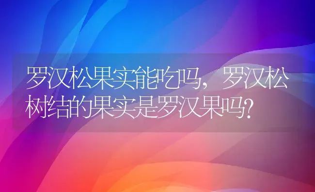 罗汉松果实能吃吗,罗汉松树结的果实是罗汉果吗？ | 养殖科普