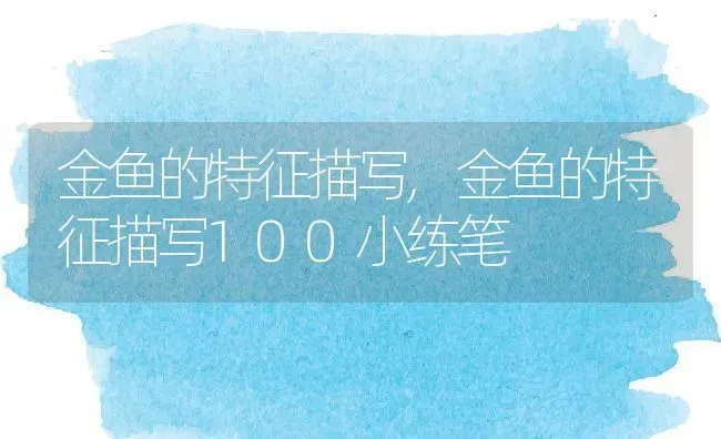 金鱼的特征描写,金鱼的特征描写100小练笔 | 养殖科普