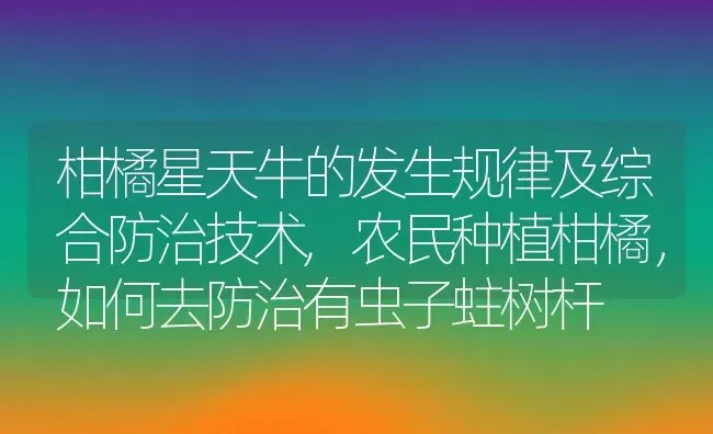 柑橘星天牛的发生规律及综合防治技术,农民种植柑橘，如何去防治有虫子蛀树杆 | 养殖学堂