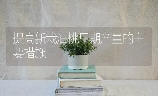 提高新栽油桃早期产量的主要措施 | 养殖知识