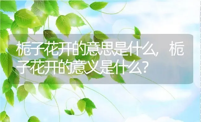 栀子花开的意思是什么,栀子花开的意义是什么？ | 养殖科普