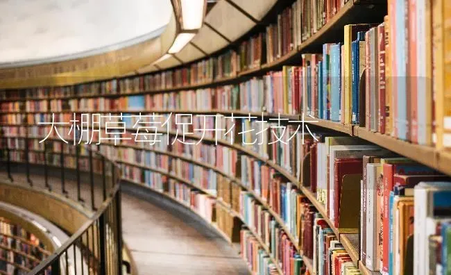 亲虾暂养在十月 | 养殖知识