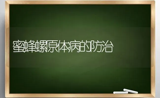 蜜蜂螺原体病的防治 | 养殖技术大全
