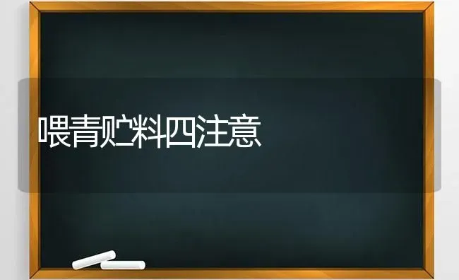 喂青贮料四注意 | 养殖知识
