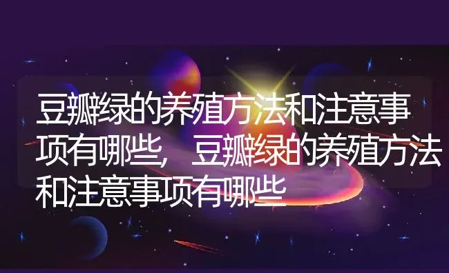 豆瓣绿的养殖方法和注意事项有哪些,豆瓣绿的养殖方法和注意事项有哪些 | 养殖科普