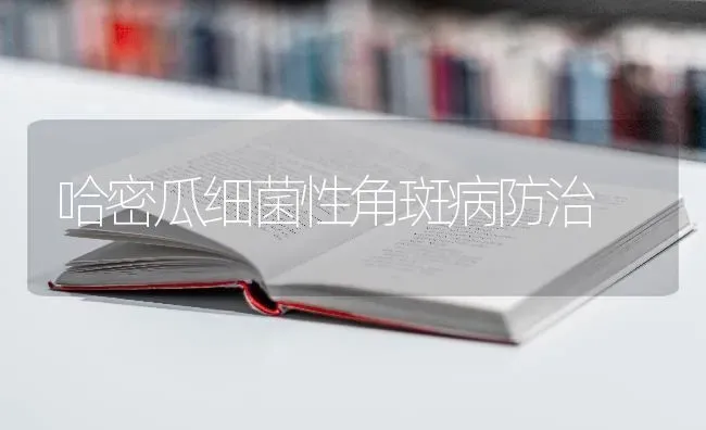 哈密瓜细菌性角斑病防治 | 养殖技术大全