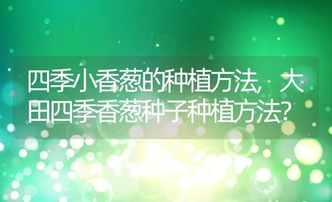 四季小香葱的种植方法,大田四季香葱种子种植方法？ | 养殖科普