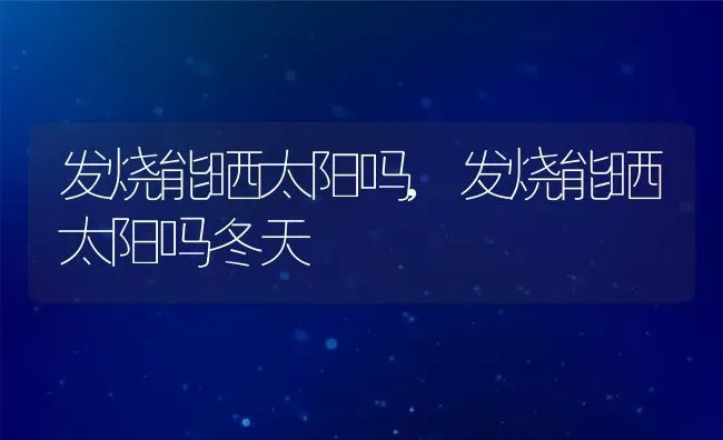 发烧能晒太阳吗,发烧能晒太阳吗冬天 | 养殖资料