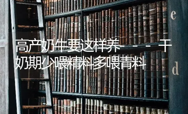 高产奶牛要这样养---干奶期少喂精料多喂青料 | 养殖技术大全