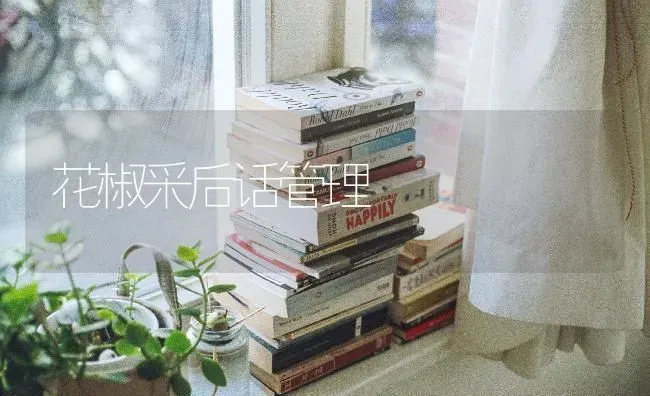 花椒采后话管理 | 养殖技术大全