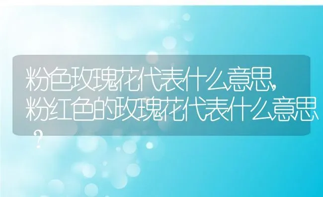 粉色玫瑰花代表什么意思,粉红色的玫瑰花代表什么意思？ | 养殖学堂