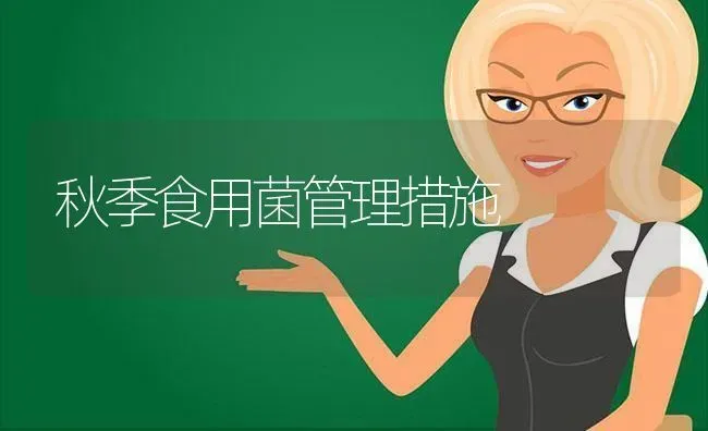 秋季食用菌管理措施 | 养殖技术大全
