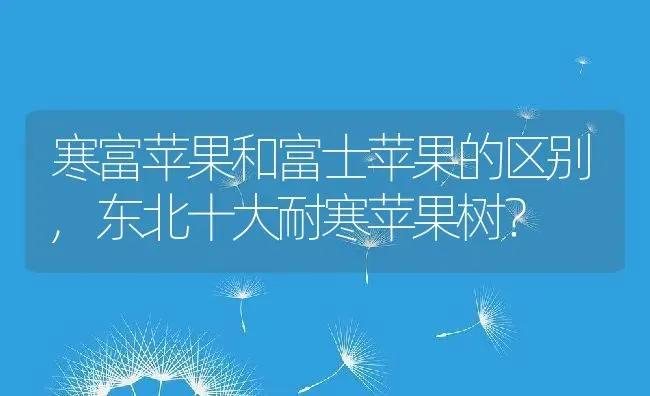 寒富苹果和富士苹果的区别,东北十大耐寒苹果树？ | 养殖科普